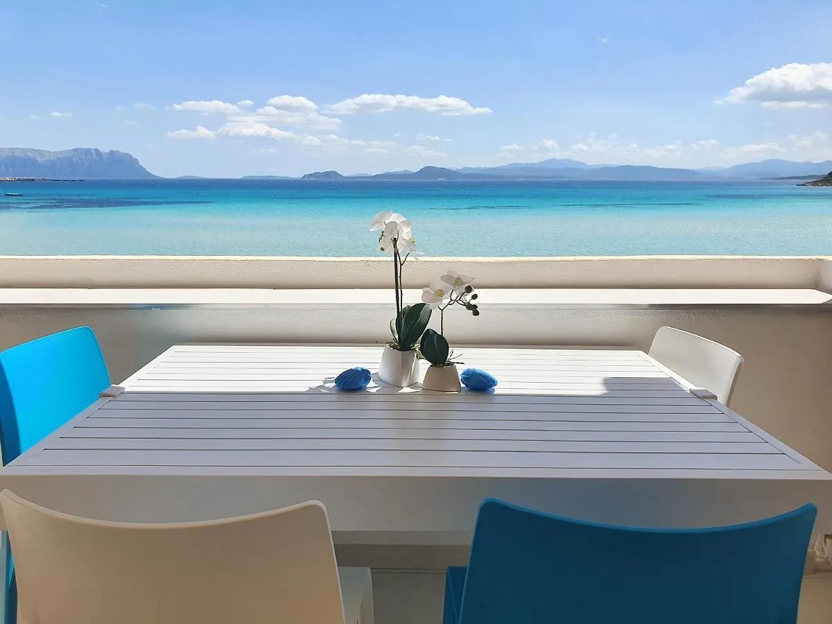 Appartamento Delfino Azzurro Golfo Aranci Apartment