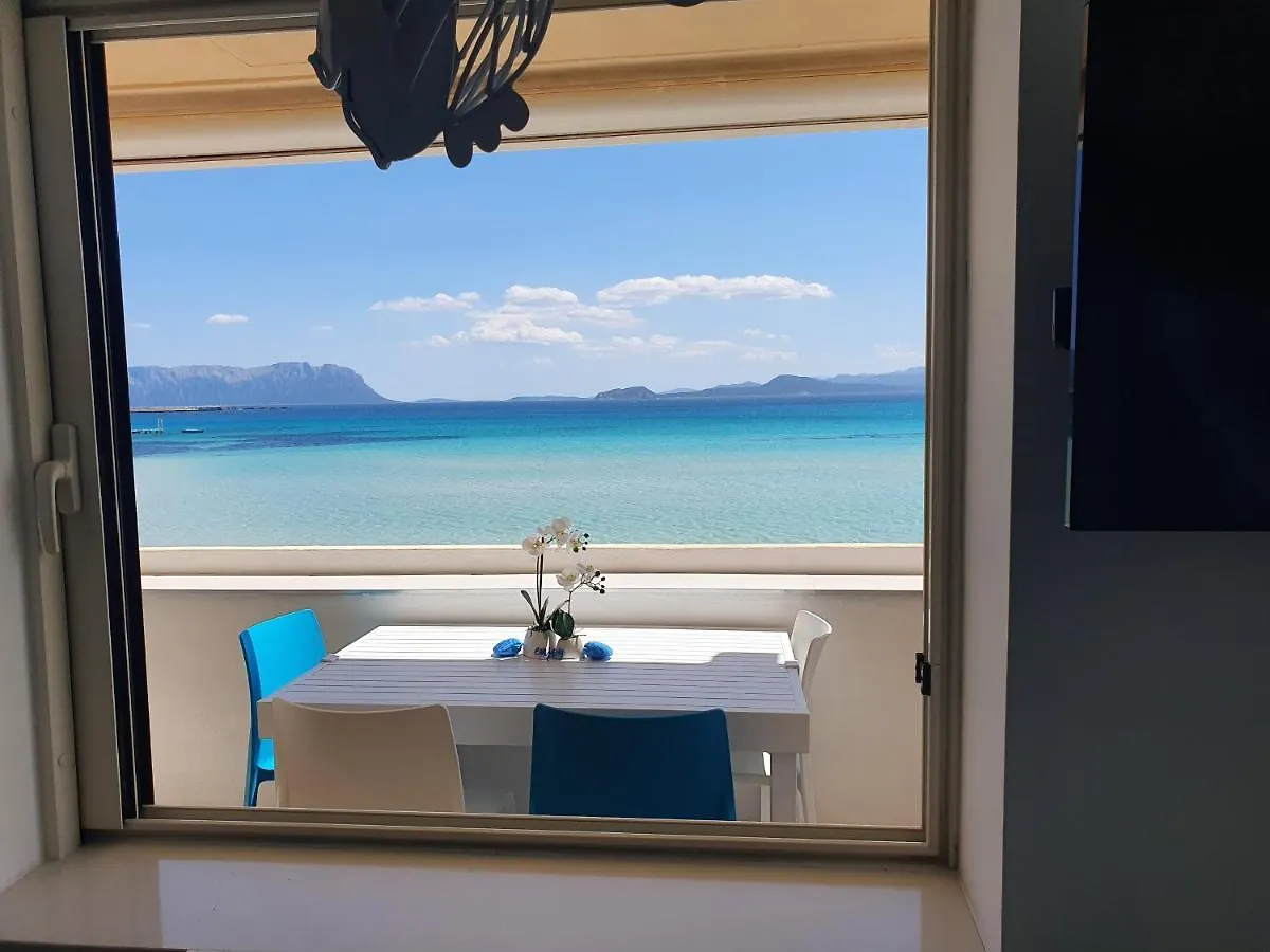 Appartamento Delfino Azzurro Golfo Aranci 0*,  Italy