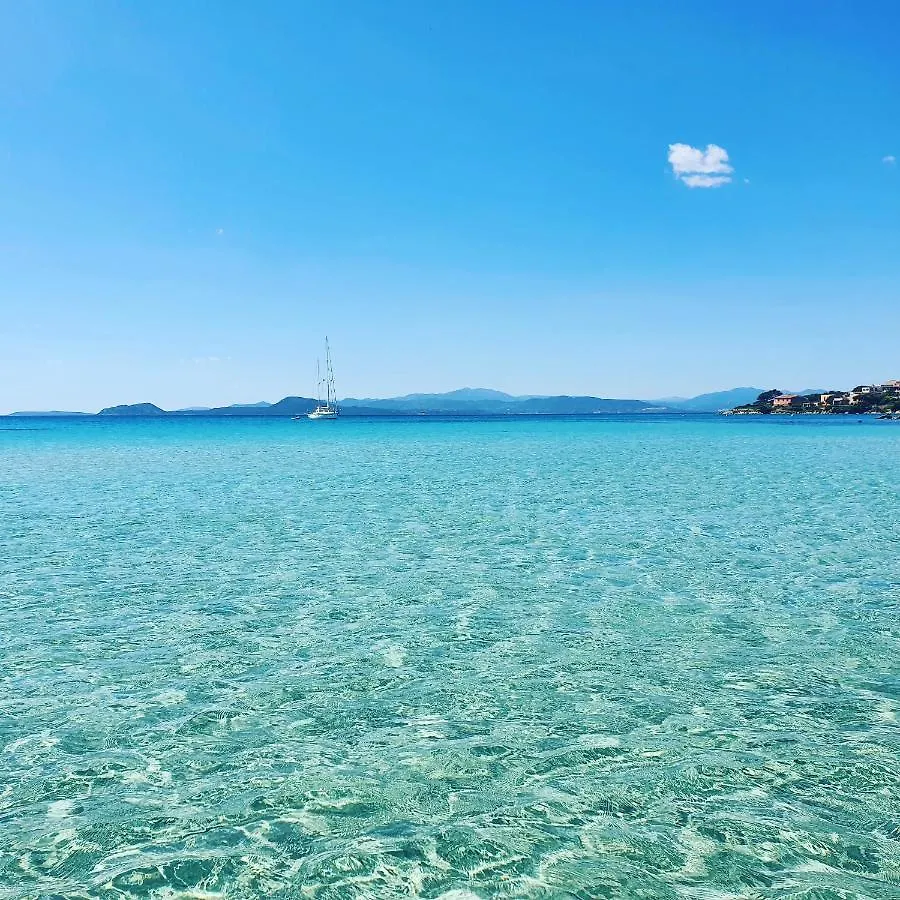 Apartment Appartamento Delfino Azzurro Golfo Aranci
