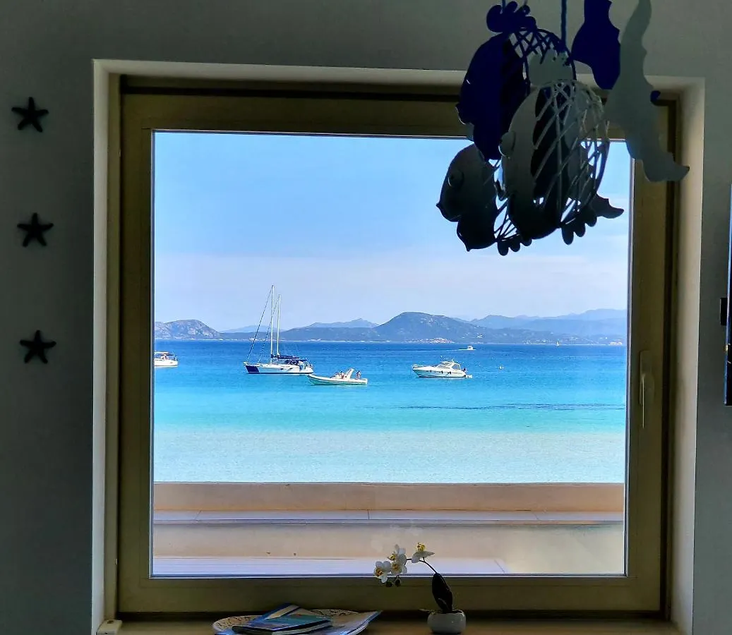 Apartment Appartamento Delfino Azzurro Golfo Aranci Italy